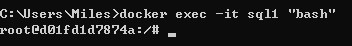 container bash