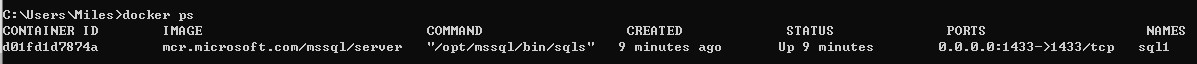 SQL Server Running