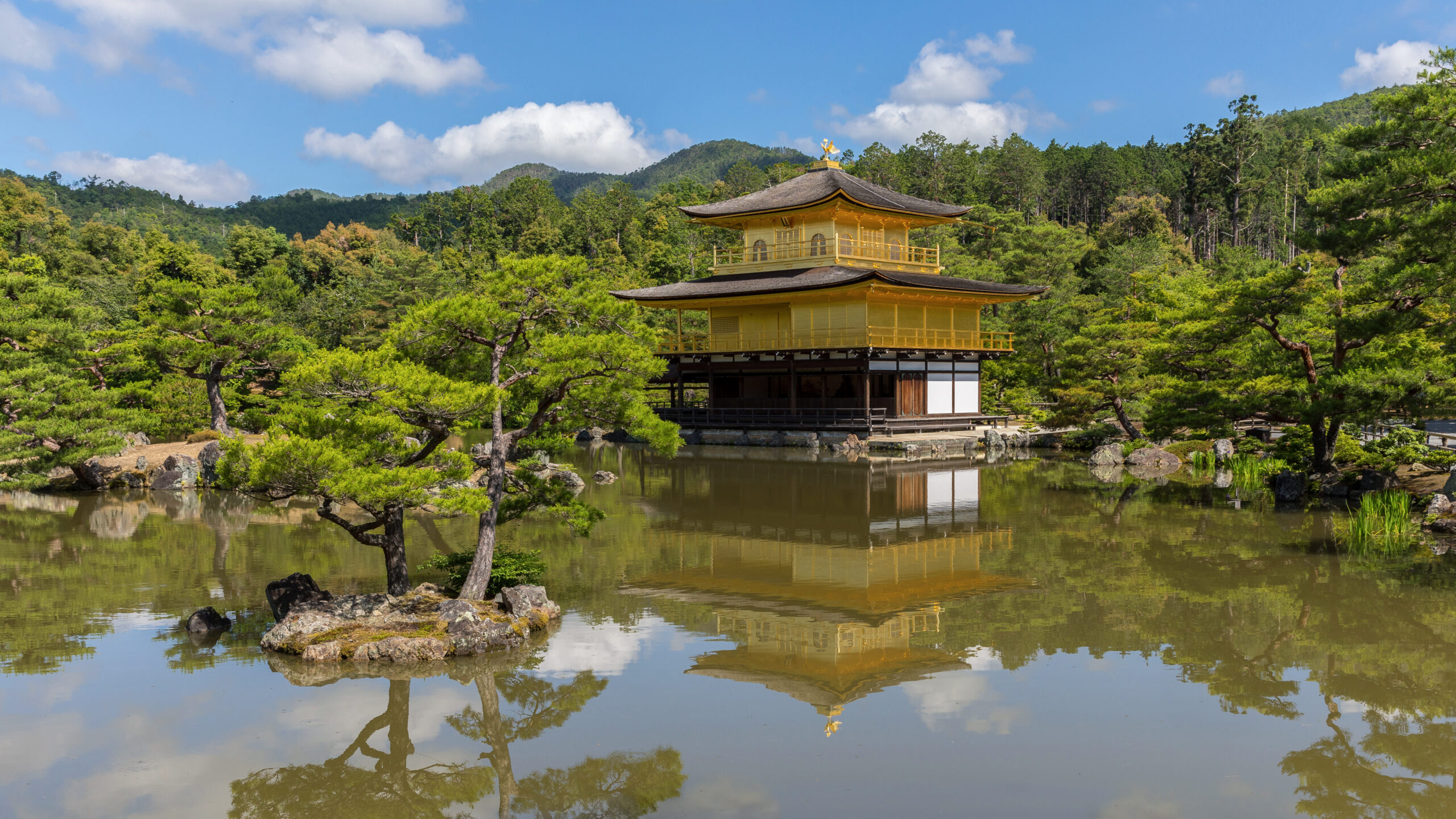 京都金閣寺倒映在鏡湖池的景色,呈現金閣、池島與松林共同形成的庭園視野