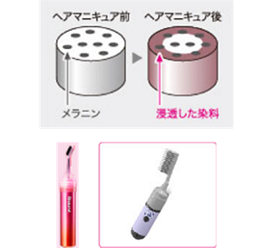 花王原文的半永久染髮示意:直接染料沉積在髮絲表層附近
