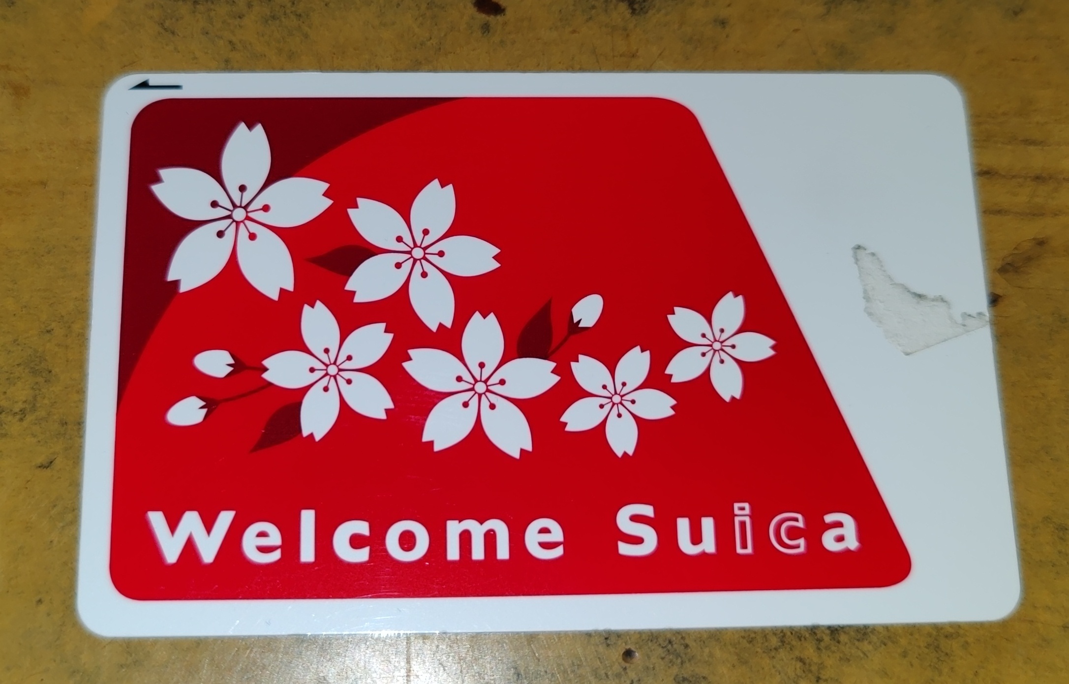 Welcome Suica訪日旅客交通卡實體照片