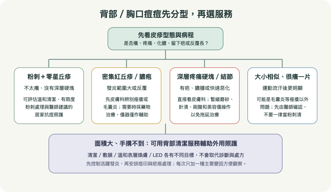 背部胸口痘痘分流：先區分粉刺、發炎痤瘡、毛囊炎和深層結節，再挑美容護理或醫療治療