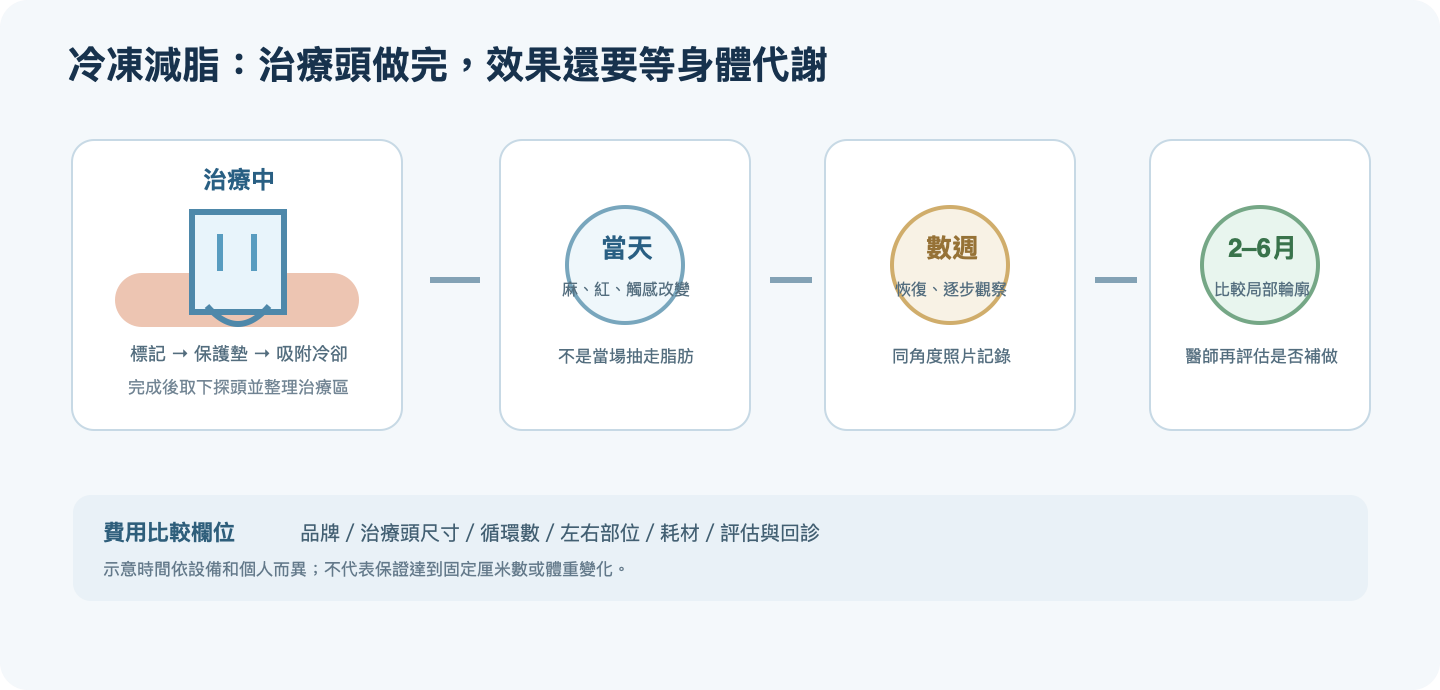 冷凍減脂治療頭吸附冷卻後,局部輪廓需在數週至數月逐步觀察