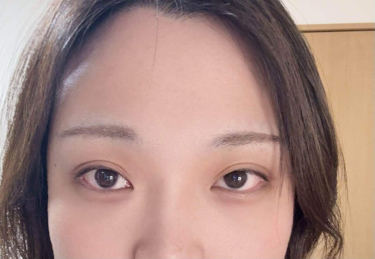 用眉彩膏整理眉毛顏色與毛流的示例