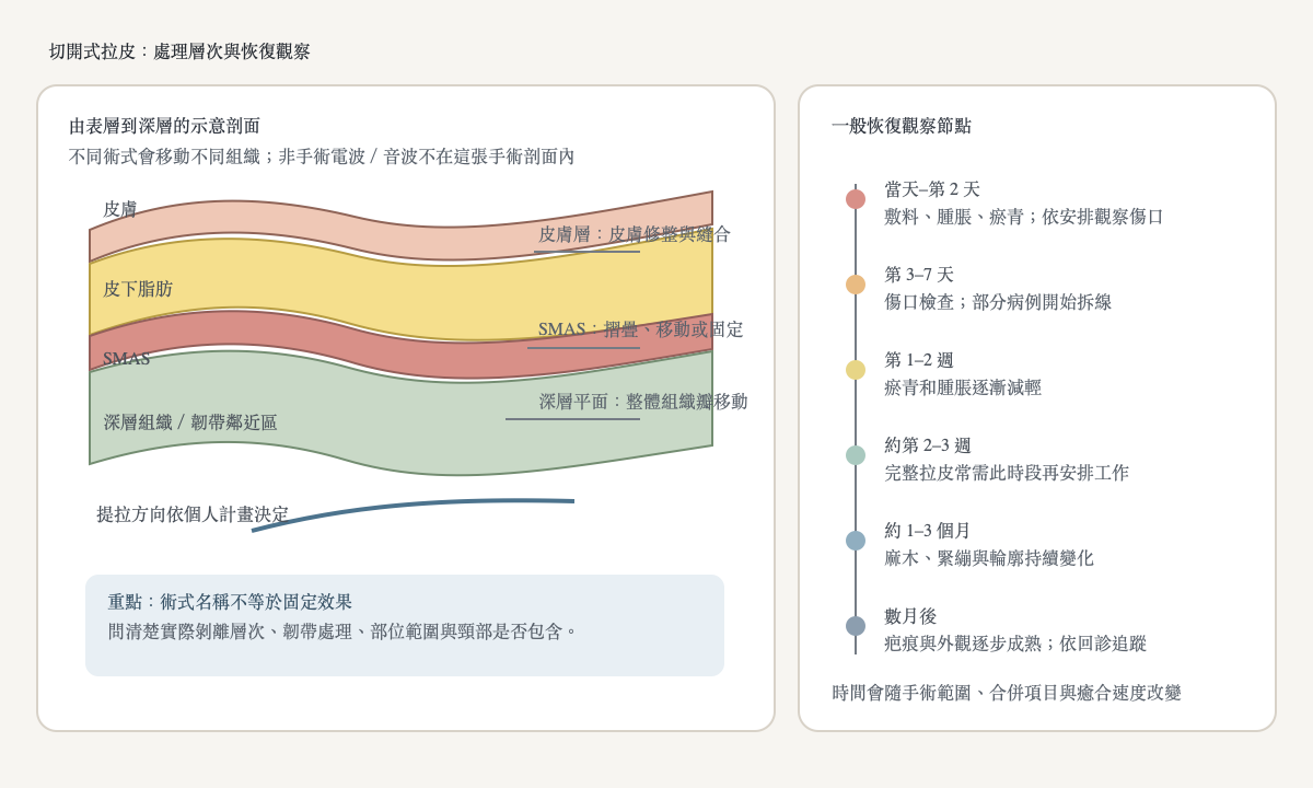 切開式拉皮的皮膚層、SMAS與深層平面示意及恢復時間軸