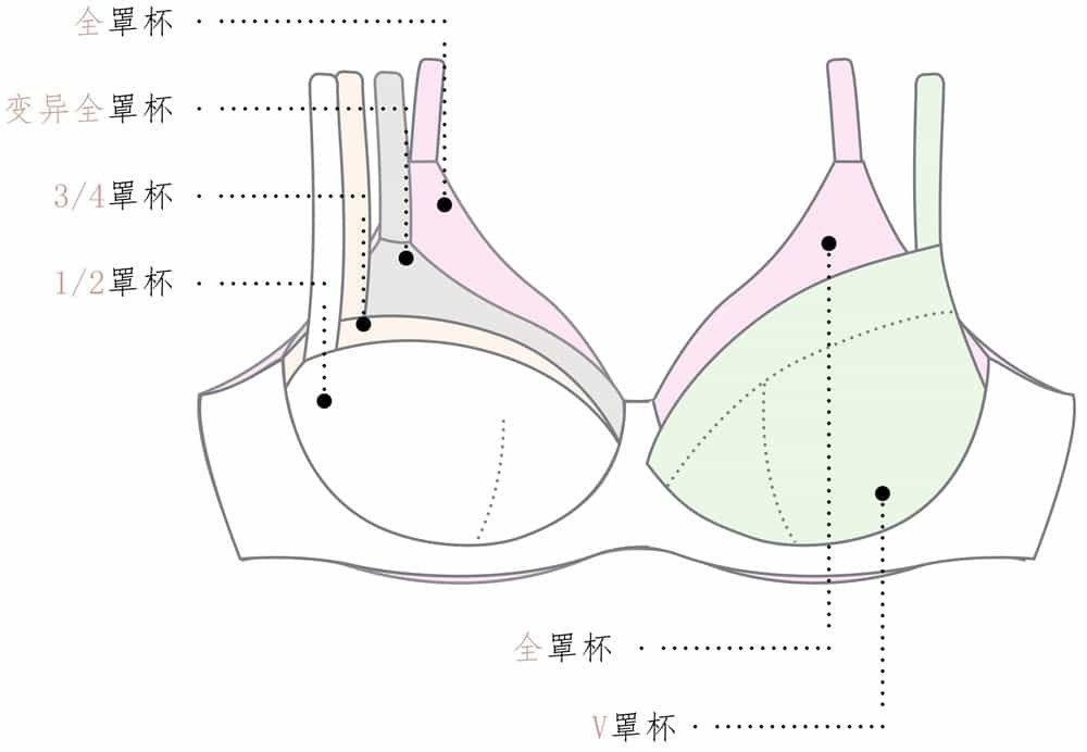 不同杯口高度的外觀對照;名稱依品牌可能不同。
