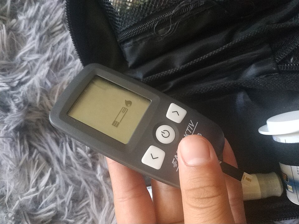 血糖機外觀示例
