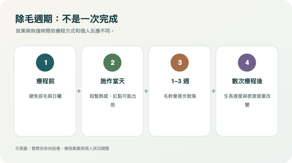 除毛週期:不是一次完成