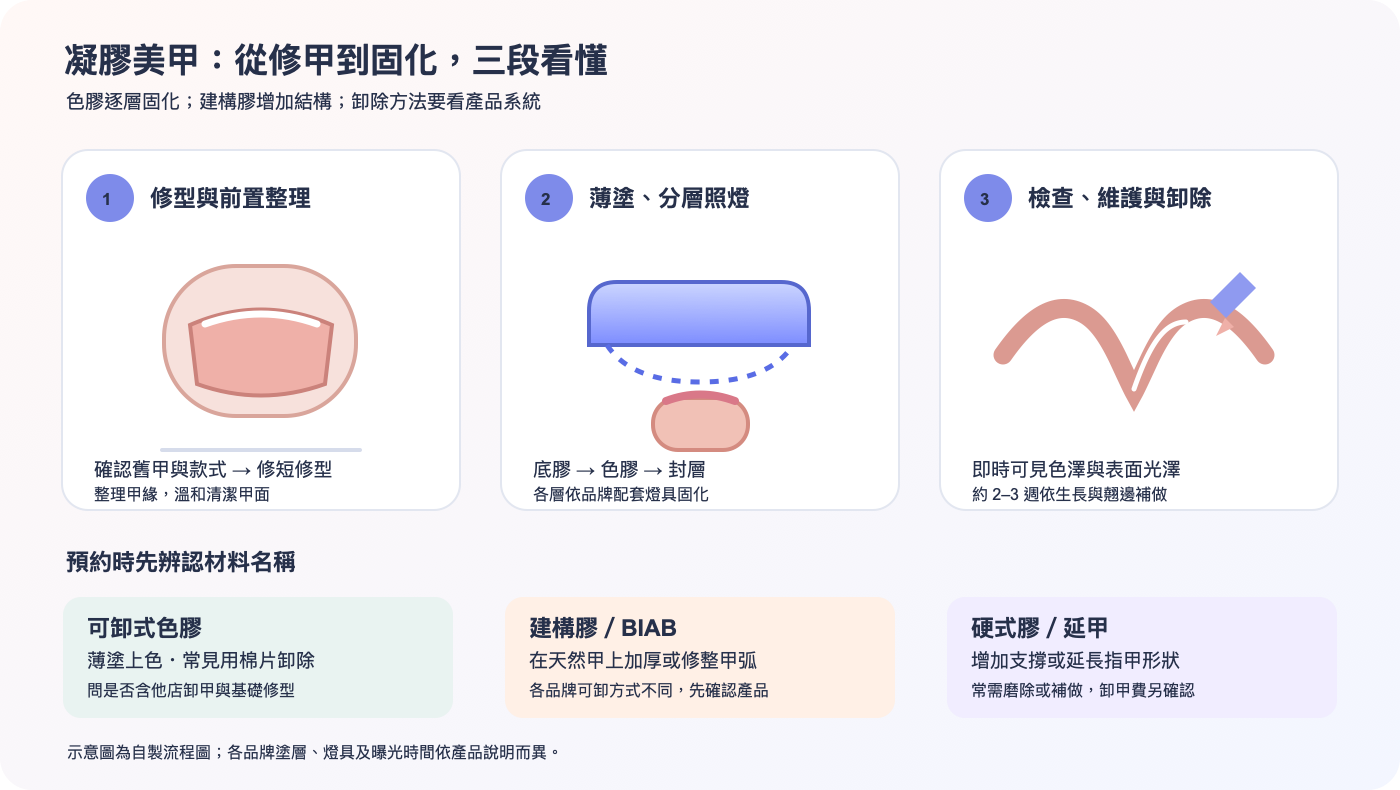 凝膠美甲服務流程:修型與甲面準備、分層上膠並依產品規格固化、完成與日常維護