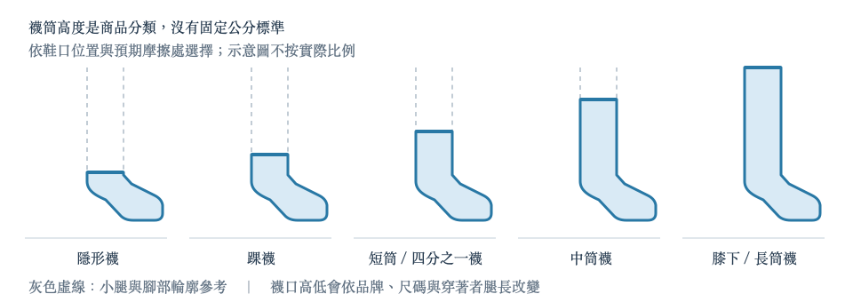 襪筒高度類型示意圖,從隱形襪到膝下襪