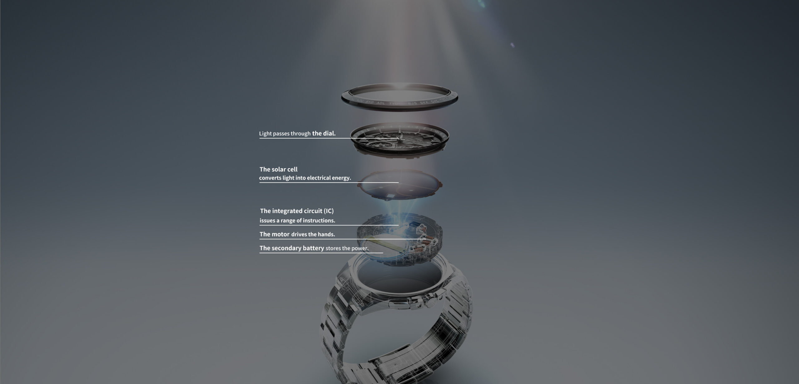 Citizen Eco-Drive 光動能腕錶的原理圖