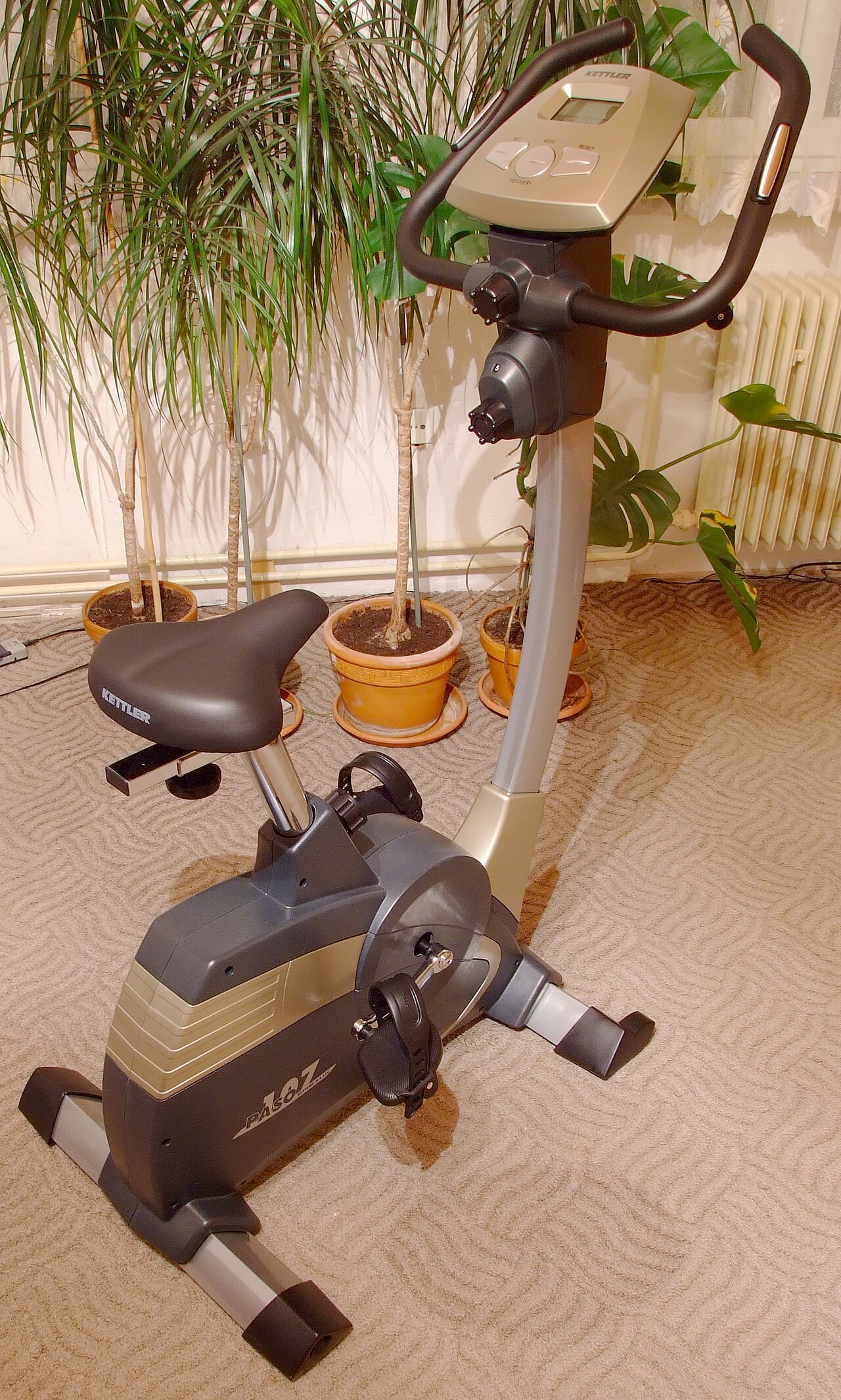 室內固定式腳踏車實拍