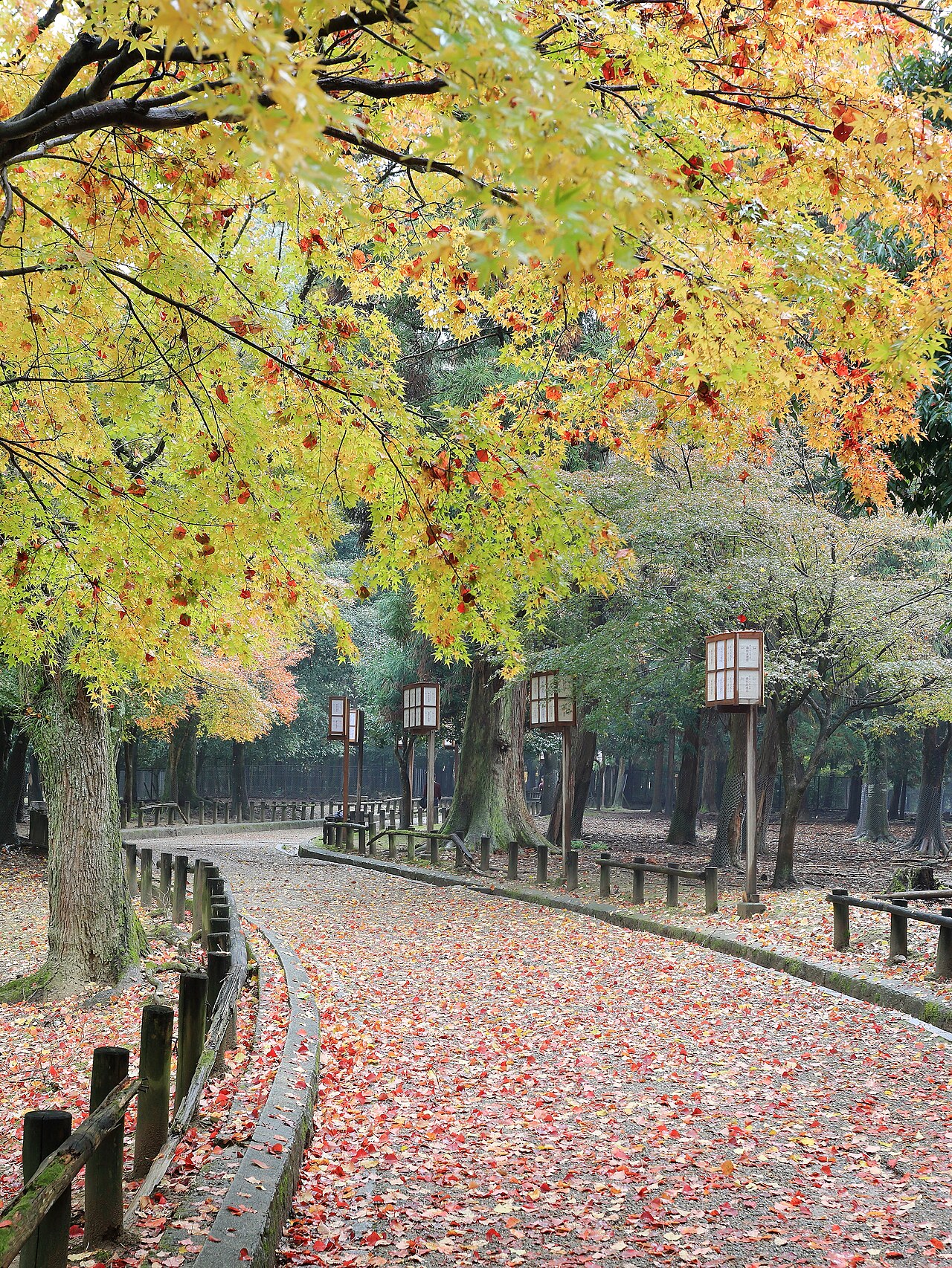 奈良公園與若草山山麓的秋季景觀,作為公園範圍與自然背景參考
