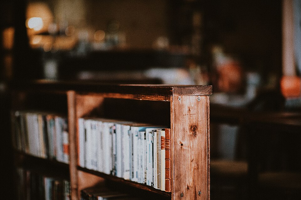 書架上的舊書,呈現紙本收藏與版本整理的情境