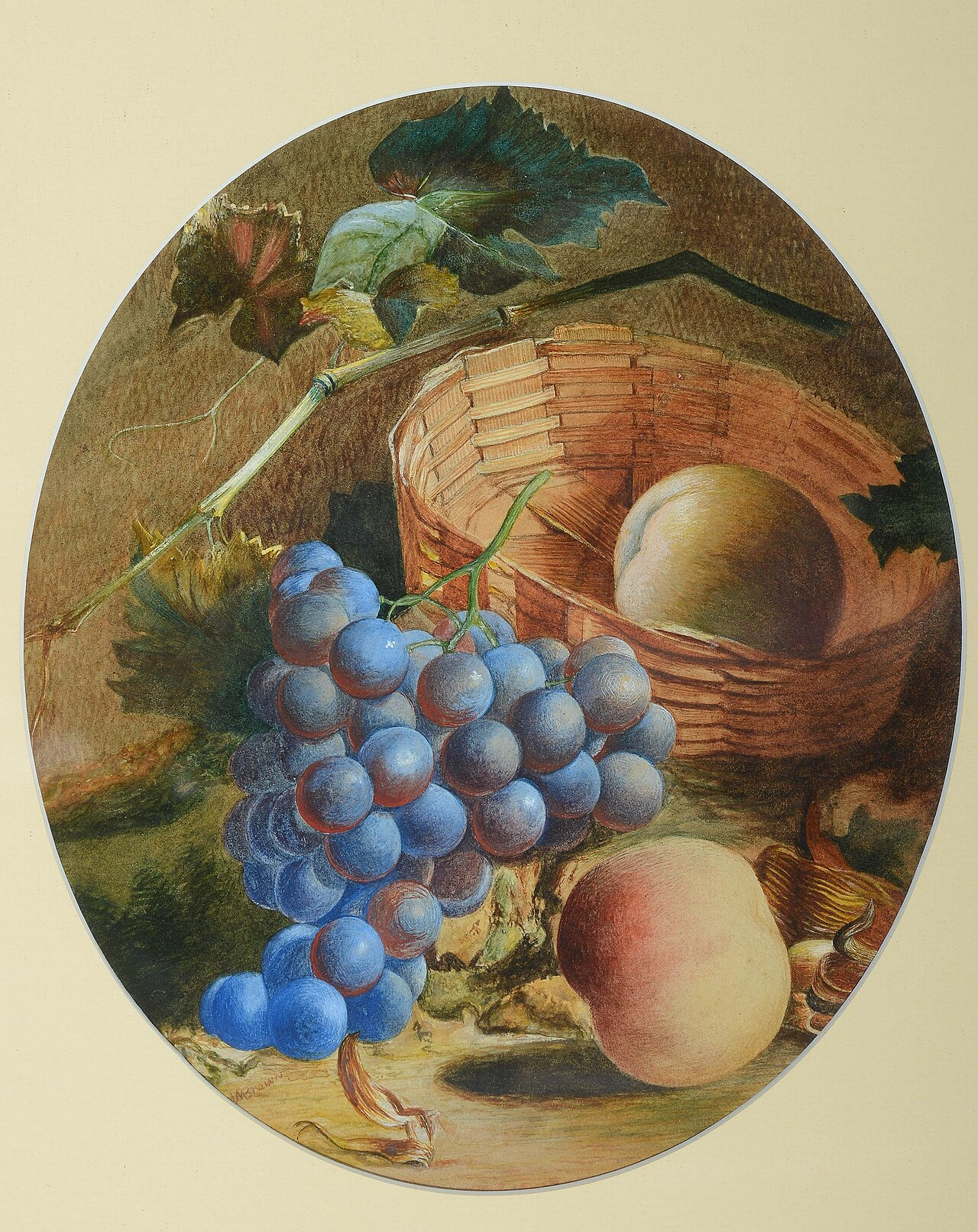 William Mason Brown 的靜物水彩紙本作品,可觀察水彩在紙面留下的色彩