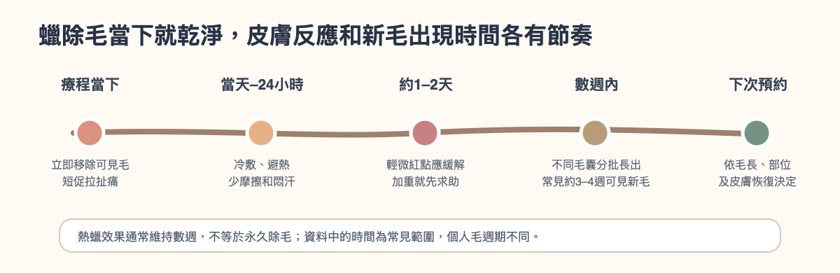 手繪示意:當日舒緩、24小時內避熱摩擦、紅腫趨勢與下次毛髮觀察