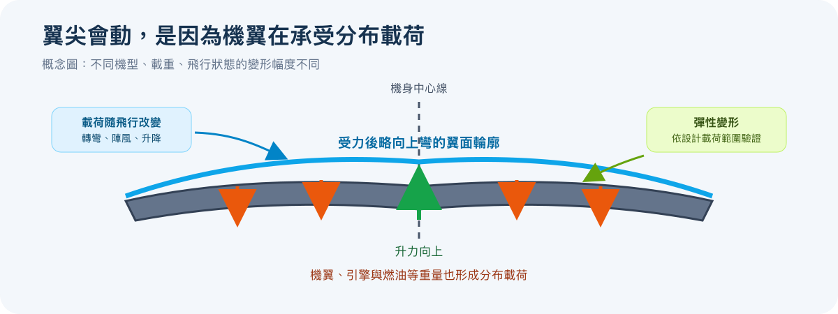 飛行中機翼承受向上升力，翼根與機翼沿翼展分布的重量形成受力；翼尖可能出現彈性位移